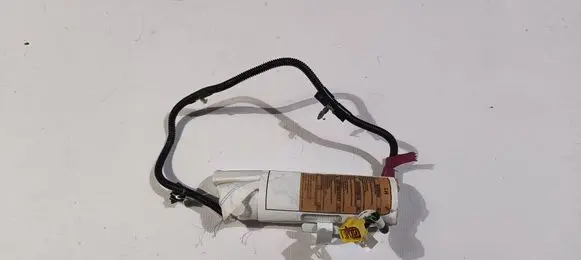 Ford Flex Seat airbag 2FL3109046701