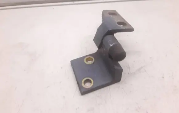 Peugeot 406 Front door lower hinge 