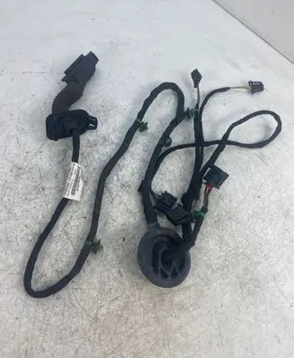 Rear door wiring loom