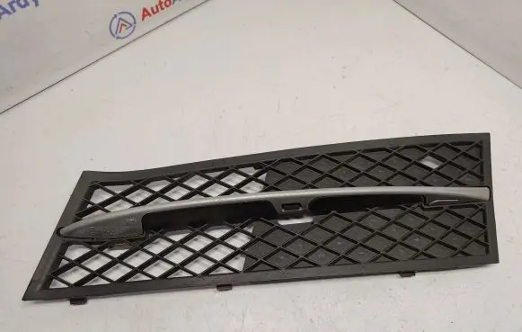 BMW 5 F10 F11 Front bumper lower grill 51117200699