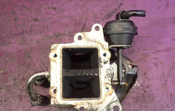 EGR valve