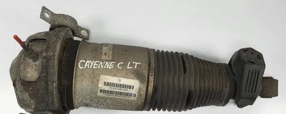 Porsche Cayenne (9PA) Rear shock absorber/damper 7L5512021BD