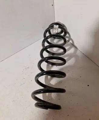 Rear coil spring