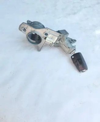 Opel Zafira B Ignition lock N0501881 2421430