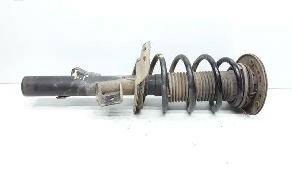Ford Galaxy Front shock absorber with coil spring