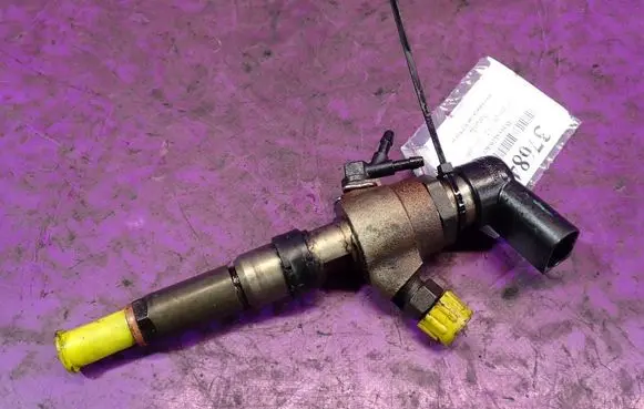 Citroen C3 Fuel injector
