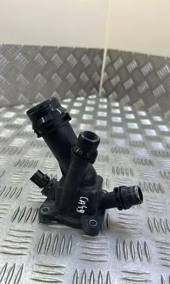 Thermostat/thermostat housing