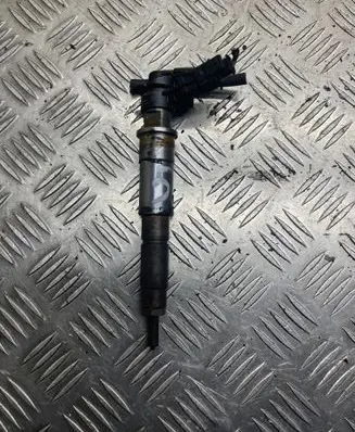 Renault Latitude (L70) Fuel injector 0445115047