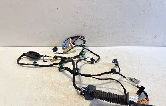 Volkswagen T-Roc Front door wiring loom 2GB971120DQ