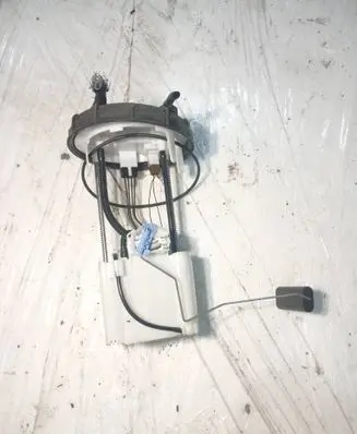 Peugeot Partner III In-tank fuel pump 100115562AI 980935938000012