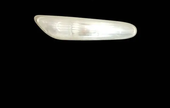 BMW 5 E60 E61 Front fender indicator light 7165741