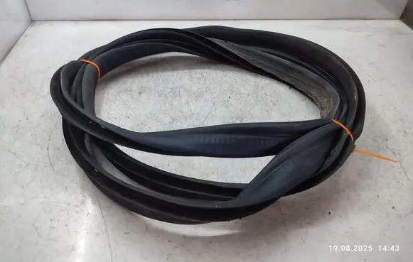 Trunk rubber seal (body)