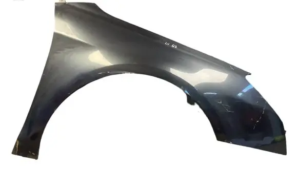 Citroen C5 Fender
