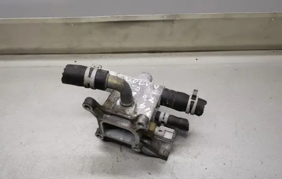 Thermostat/thermostat housing