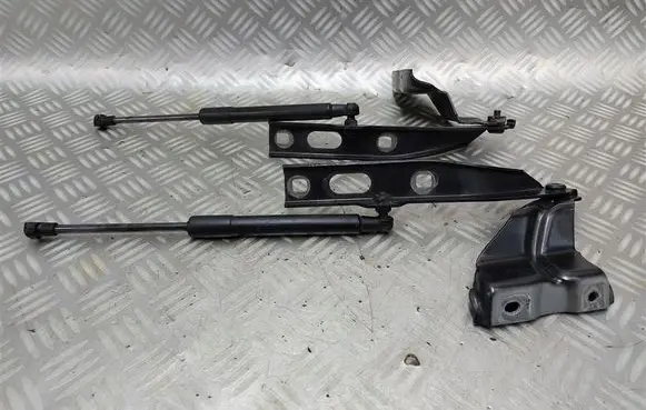 Audi Q5 SQ5 Engine bonnet/hood hinges 8R0823302A