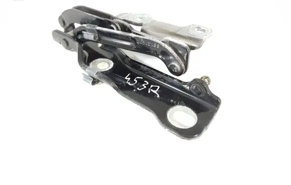 Aston Martin Rapide Engine bonnet/hood hinges 4G43-64-10916