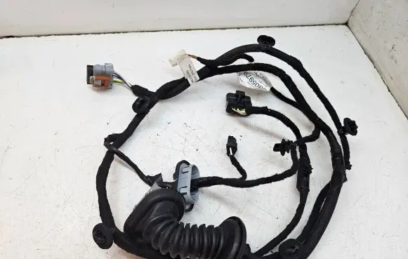 Rear door wiring loom