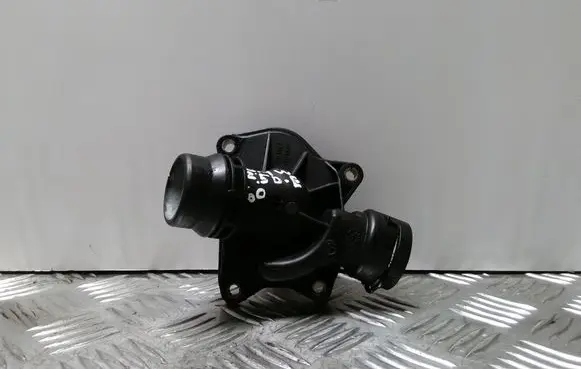 Thermostat/thermostat housing