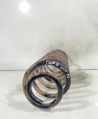 Rear coil spring