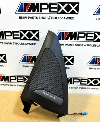 BMW X5 G05 Front door speaker 7445517