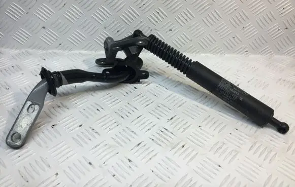 Mercedes-Benz R W251 Tailgate/trunk/boot hinge A2519801064