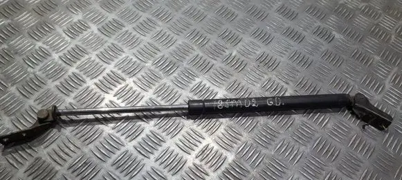 Tailgate/trunk strut/damper