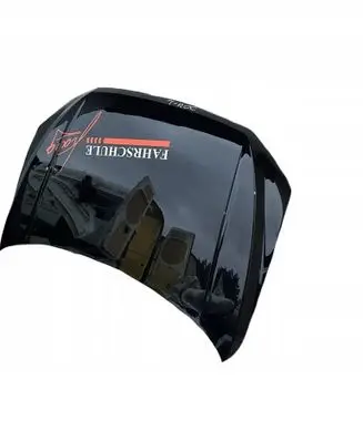 Volkswagen T-Roc Engine bonnet/hood L44TEILE