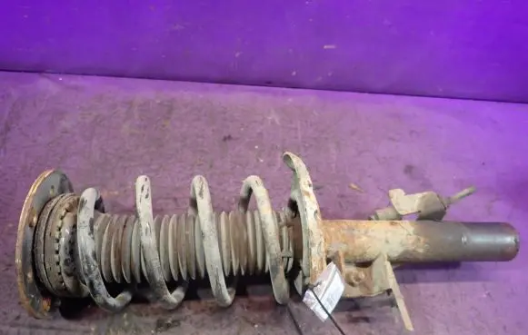 Ford S-MAX Front shock absorber with coil spring