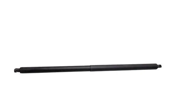 Ford Kuga II Tailgate/trunk strut/damper 255256