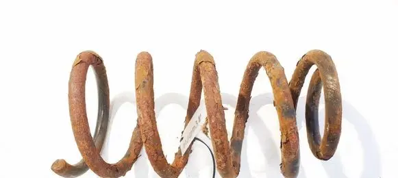 Rear coil spring