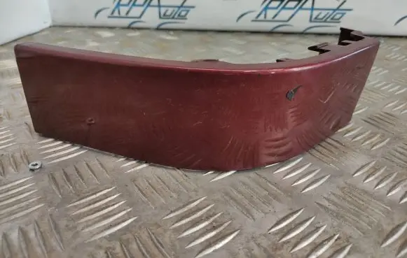 Rear/tail light trim molding