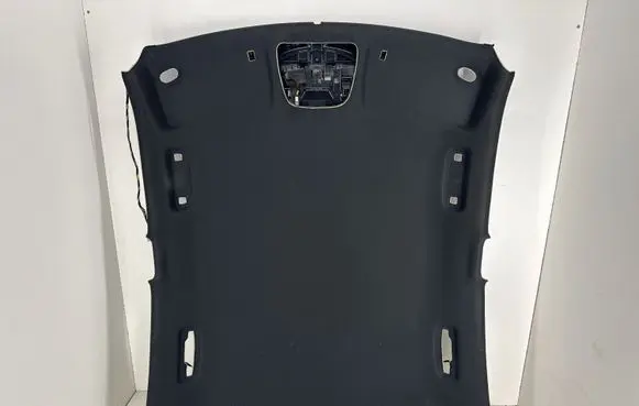 Dodge Charger Headlining 5LM51DX9AI 60047320 40017249