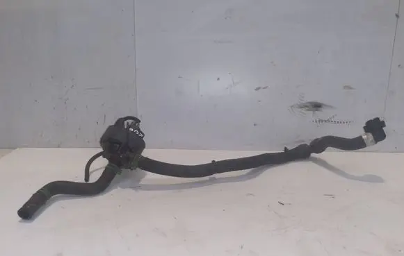 Renault Zoe Electric auxiliary coolant/water pump 144B03731R
