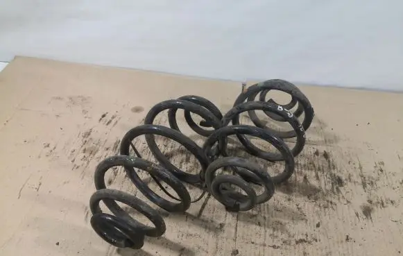 Volkswagen PASSAT B5 Rear coil spring