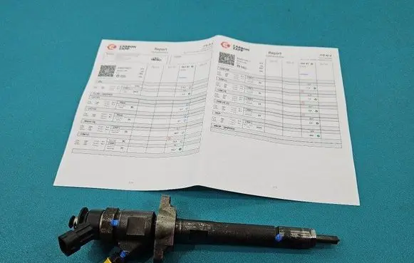 Citroen Berlingo Fuel injector 0445110311 IMPRK1423485