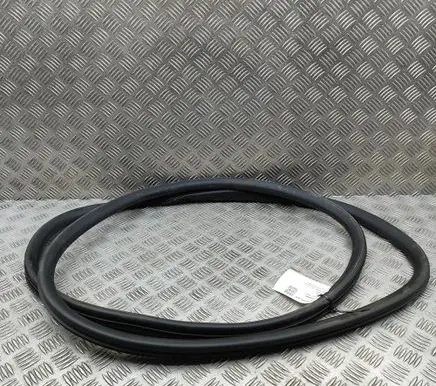 Opel Vivaro Rubber seal front coupe door 9806514880