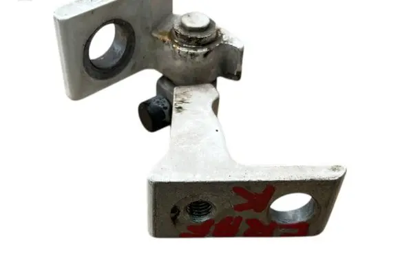 Rear door lower hinge
