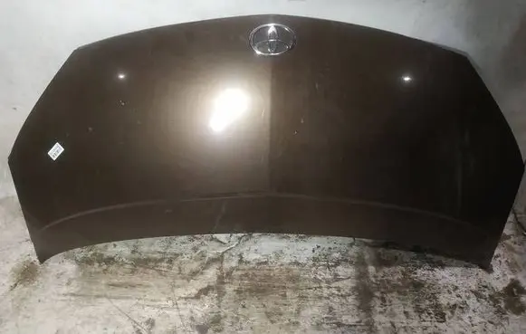 Toyota Previa (XR30, XR40) II Engine bonnet/hood rudas
