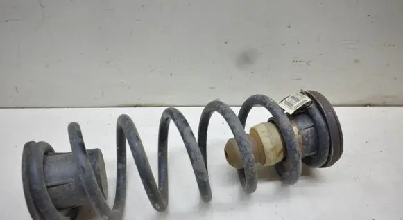 Rear coil spring