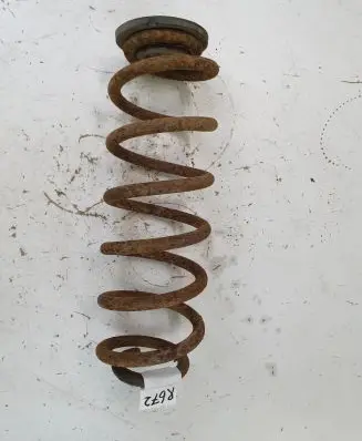 Volkswagen PASSAT B6 Rear coil spring