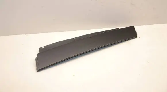 Other rear door trim element