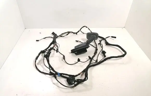 BMW 5 GT F07 Front door wiring loom 9210120 9210119