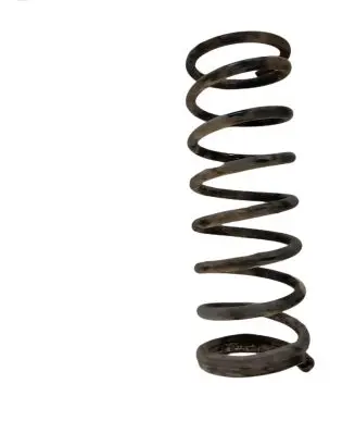 Jaguar X-Type Rear coil spring NOCODE