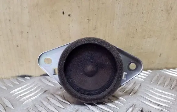Panel speaker