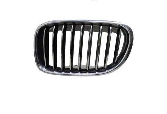 Front grill