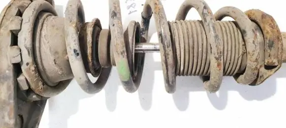 Rear coil spring