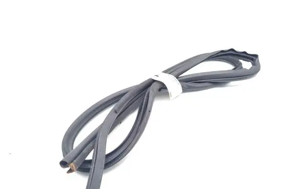 Nissan Juke II F16 Rubber seal rear door 
