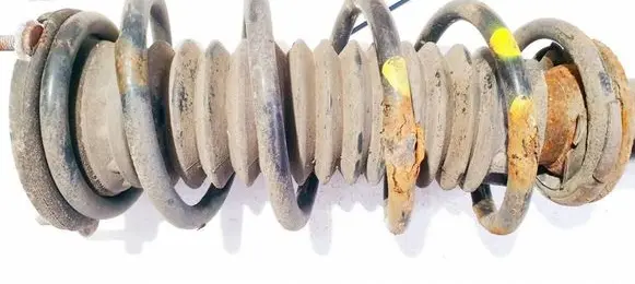 Front coil spring