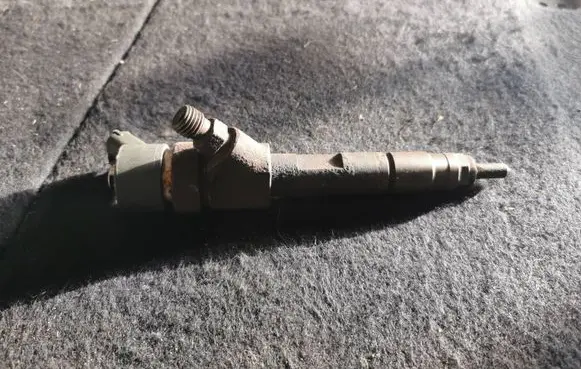 Peugeot 406 Fuel injector 0445110008 9635196580