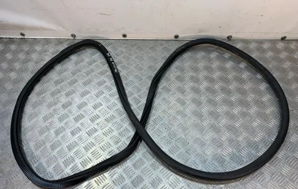 Chrysler Pacifica Front door rubber seal